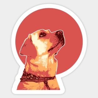 Retro Labrador Illustration Sticker